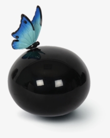 Limenitis, HD Png Download, Free Download