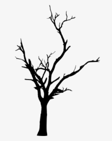 Free Png Dead Tree Silhouette Png Images Transparent - Transparent Dead Tree Silhouette, Png Download, Free Download