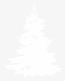 Tree-icon - Johns Hopkins Logo White, HD Png Download, Free Download