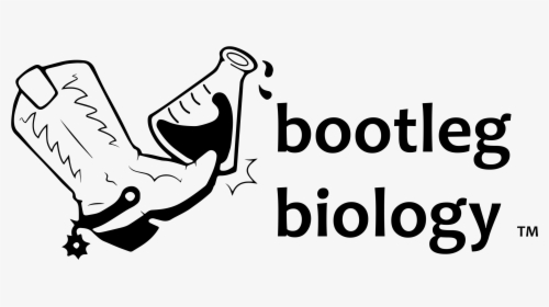 Back Home - Bootleg Biology Logo, HD Png Download, Free Download
