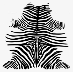Zebra, HD Png Download, Free Download