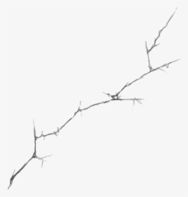 Twig, HD Png Download, Free Download