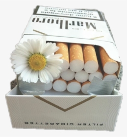 #cigarette #grunge #flower #aesthetic #badgirl #malboro - Flowers In Cigarette Box, HD Png Download, Free Download