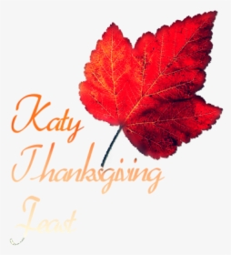 Katy Thanksgiving Community Dinner Feast Serves Home - Autumn, HD Png Download, Free Download