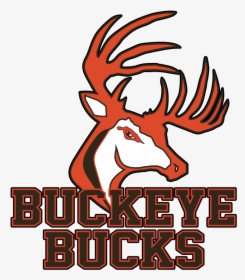 School Logo - Buckeye Local Schools Logo, HD Png Download, Free Download