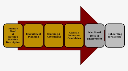 Human Resource Management Process, HD Png Download, Free Download
