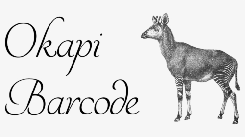 Okapi Drawing, HD Png Download, Free Download