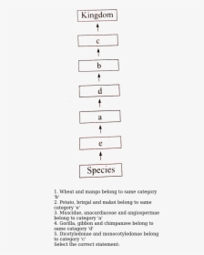 Number, HD Png Download, Free Download