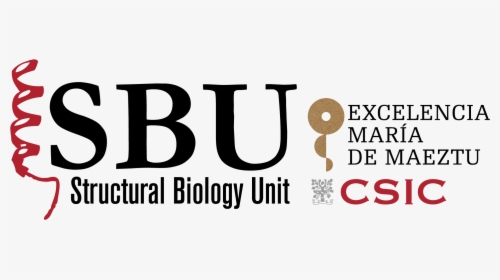 Structural Biology Unit Ibmb-csic - Spanish National Research Council, HD Png Download, Free Download