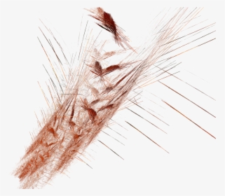 Graphisme Png, Transparent Png, Free Download