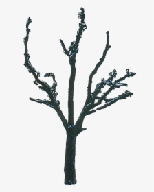 Tree Winter, HD Png Download, Free Download