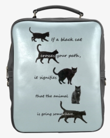 Black Cat Poster On Superstition, HD Png Download, Free Download