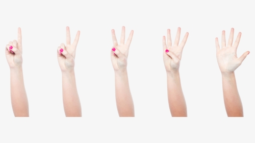 Female Hand Png, Transparent Png, Free Download