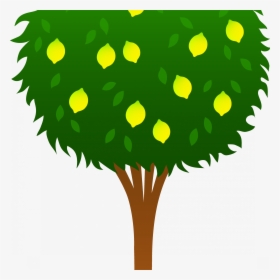 Transparent Lemon Clipart Png - Lemon Tree Drawing Easy, Png Download, Free Download