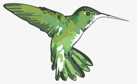 Logo - Ruby-throated Hummingbird, HD Png Download, Free Download