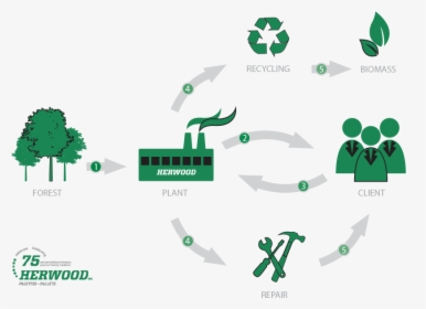 Herwood Wooden Pallet Life Cycle - Recycling, HD Png Download, Free Download