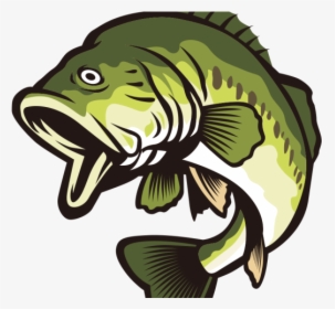 Bass Fish Clipart Png, Transparent Png, Free Download