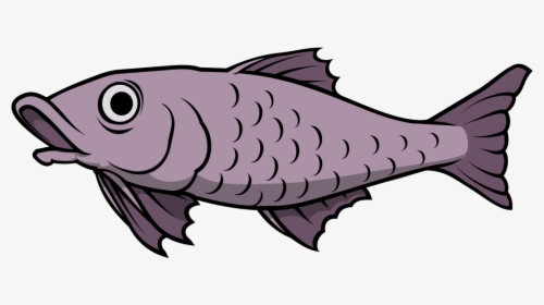 Catfish, HD Png Download, Free Download