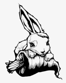 Black And White Rabbit Creativity Sketch - Sketch Creativity Creative Drawing, HD Png Download, Free Download
