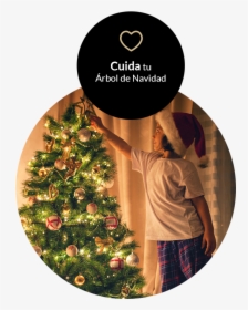 Transparent Arbol De Navidad Png - Маленькая Девочка И Елка, Png Download, Free Download