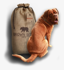 Comida Para Perros Ecológica - Dogue De Bordeaux, HD Png Download, Free Download