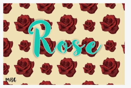 Garden Roses, HD Png Download, Free Download