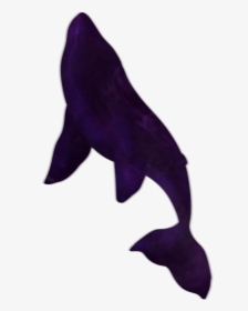 I"m On My Way - Whale Tumblr Transparent, HD Png Download, Free Download