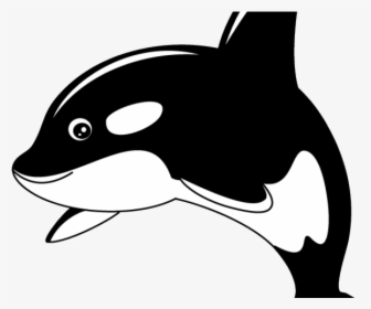 Killer Whale Pictures Transparent, HD Png Download, Free Download