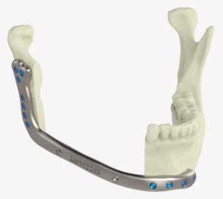 Xilloc Medical B - Smile, HD Png Download, Free Download