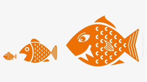 Peces, HD Png Download, Free Download