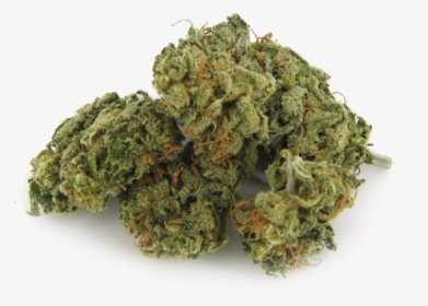 Blue-haze - 7acres Sensi Star, HD Png Download, Free Download