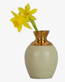Ink Pot Bud Vase With 14k Gold Ecommerce Beekman - Narcissus, HD Png Download, Free Download