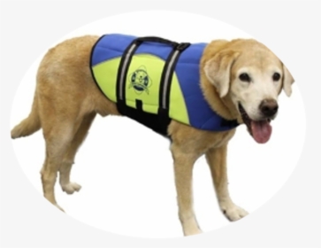 Dog, HD Png Download, Free Download