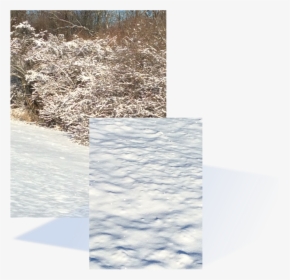 Snow Shines In Morning Sun - Snow, HD Png Download, Free Download