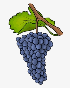 Grapes Clipart, HD Png Download, Free Download