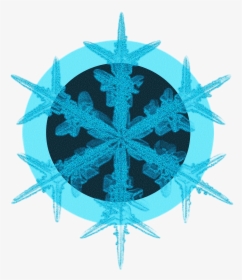 Azul Negro Cristalino Copo De Nieve Flor Hielo Png - Snow Crystal, Transparent Png, Free Download