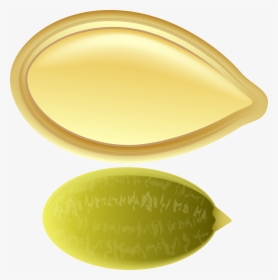 Clipart Pumpkin Oval, HD Png Download, Free Download