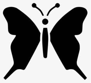 Transparent White Butterfly Png, Png Download, Free Download