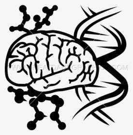 Brain Cells Clipart Dna Production Ready Artwork For - Brain And Dna Png, Transparent Png, Free Download