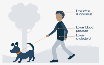 Health Benefits Of Owning A Pet - Dog Catches Something, HD Png Download, Free Download