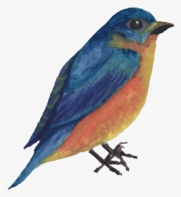 Watercolor Bird - Eastern Bluebird, HD Png Download, Free Download