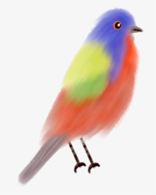 #ftestickers #watercolor #painting #bird #colorful - Painted Bunting, HD Png Download, Free Download