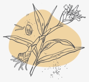Illustration, HD Png Download, Free Download