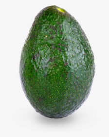 Avocado, HD Png Download, Free Download