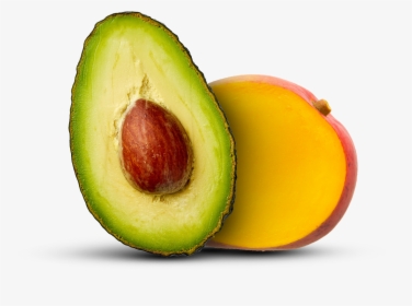 Avocado, HD Png Download, Free Download