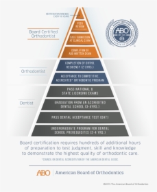 Board Certified Orthodontist, HD Png Download, Free Download