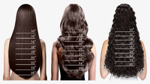 Length 8 Inches Hair, HD Png Download, Free Download