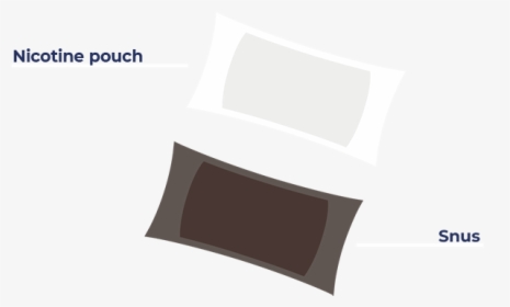 What"s A Nicotine Pouch - Chair, HD Png Download, Free Download
