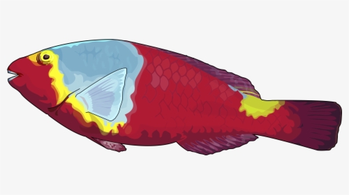 Goldfish, HD Png Download, Free Download