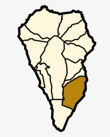 Palma Png, Transparent Png, Free Download